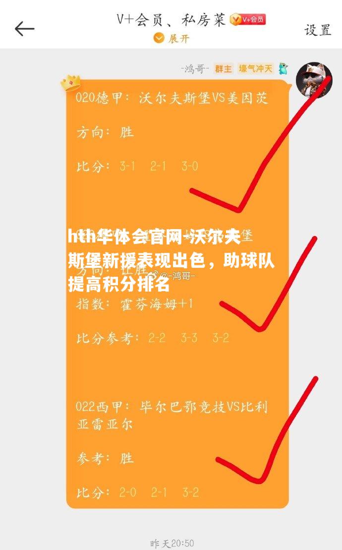 沃尔夫斯堡新援表现出色，助球队提高积分排名